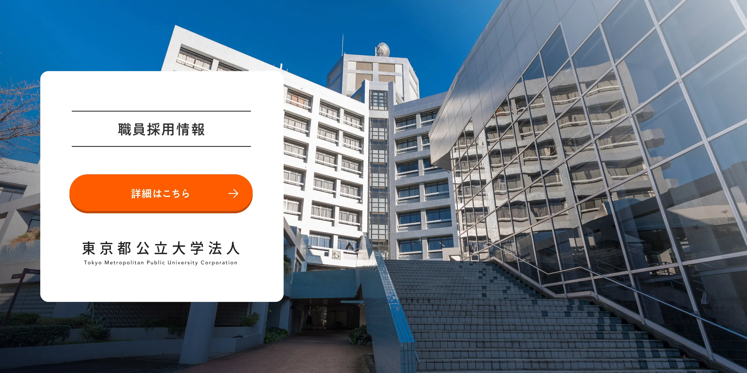職員採用情報